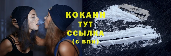 мяу мяу кристалл Гусь-Хрустальный