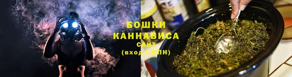 амф Гусиноозёрск