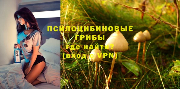 мдпв Дмитровск