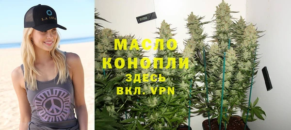 мдпв Дмитровск