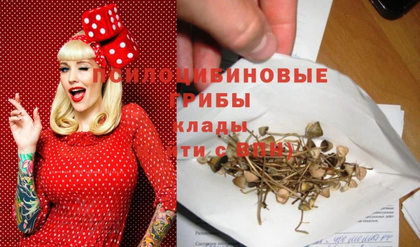 a pvp Дмитров