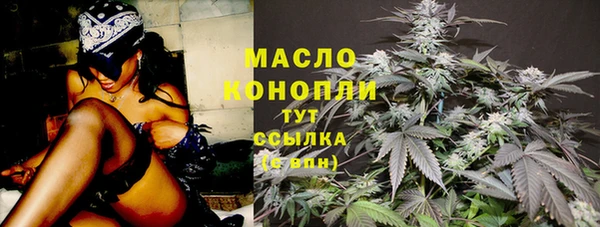 мдпв Дмитровск