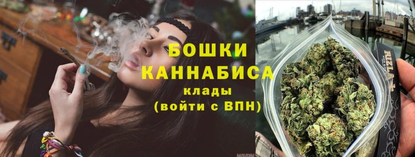 амф Гусиноозёрск