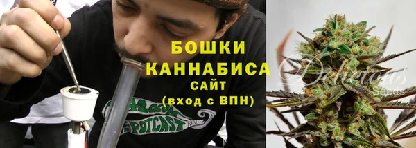 мяу мяу кристалл Гусь-Хрустальный