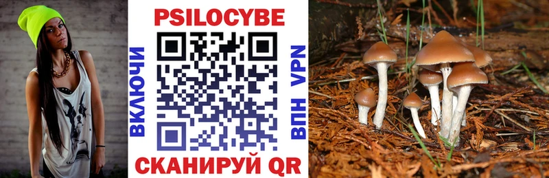 даркнет состав Оханск Псилоцибиновые грибы Psilocybe где купить наркоту